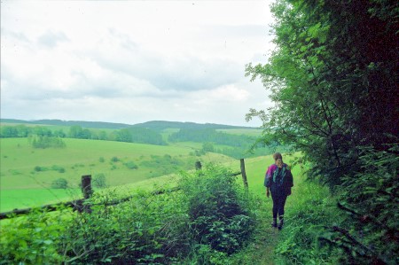 Foto Coaching in der Natur - Sinnbild des Coaching-Prozess