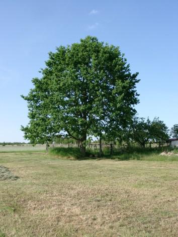 Foto ssb Einzel-Coaching