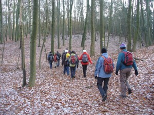 Foto: Wandergruppe im Fläming