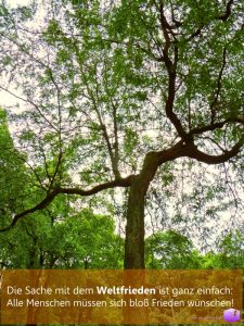 Foto: Baum bringt Weltfrieden