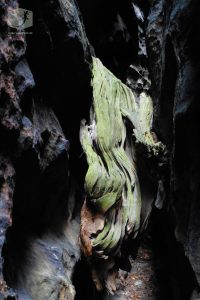 Foto Holz, Schlucht, Felsen