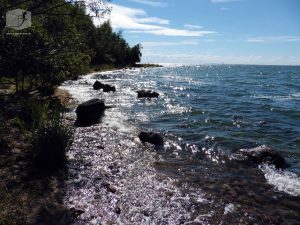 Foto Gerade Jetzt Ostsee WaldFunkeln Steine Himmel 2016_sand